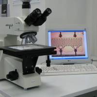 Микроскоп большого увеличения с возможностью вывода изображения в компьютер (на снимке - изображение кристалла СВЧ-транзистора)                                                                                                              